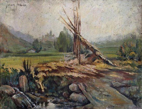 Paisaje rural con árboles caídos, campos verdes y una corriente de agua.