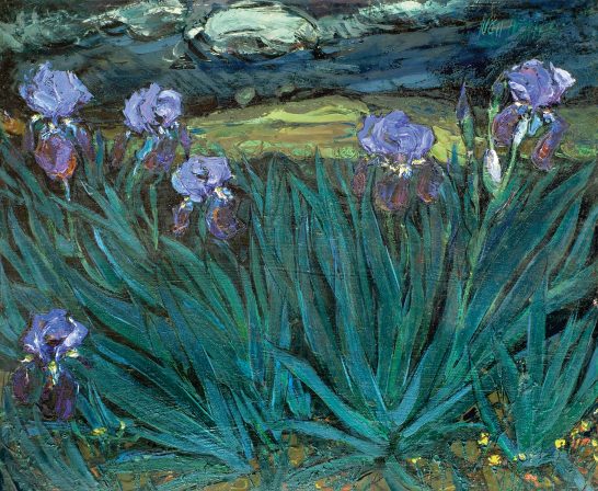 Iris morados en un campo verde bajo un cielo oscuro y nublado.