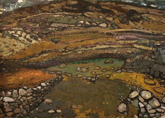 Paisaje natural con terrenos de colores terrosos y rocosos.